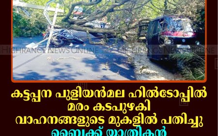 കട്ടപ്പന പുളിയന്‍മല ഹില്‍ടോപ്പില്‍ മരം കടപുഴകി വാഹനങ്ങളുടെ മുകളില്‍ പതിച്ചു: ബൈക്ക് യാത്രികന്‍ രക്ഷപ്പെട്ടത് തലനാരിഴയ്ക്ക്: ഒരു മണിക്കൂര്‍ ഗതാഗത തടസം