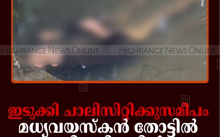 ഇടുക്കി ചാലിസിറ്റിക്കുസമീപം മധ്യവയസ്‌കന്‍ തോട്ടില്‍ മരിച്ചനിലയില്‍ 