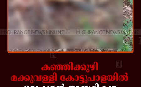 കഞ്ഞിക്കുഴി മക്കുവള്ളി കോട്ടുപാളയില്‍ പുരുഷന്റെ അസ്ഥികൂടം കണ്ടെത്തി