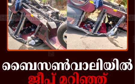 ബൈസണ്‍വാലിയില്‍ ജീപ്പ് മറിഞ്ഞ് 6 പേര്‍ക്ക് പരിക്ക്