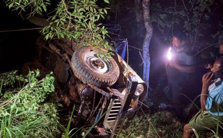 ഇടുക്കി നാരകക്കാനത്ത് ജീപ്പ് കൊക്കയിലേക്ക് മറിഞ്ഞ് പിഞ്ചുകുഞ്ഞടക്കം 2 പേര്‍ മരിച്ചു