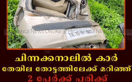 ചിന്നക്കനാലിൽ കാർ തേയില തോട്ടത്തിലേക്ക് മറിഞ്ഞ് 2 പേർക്ക് പരിക്ക്