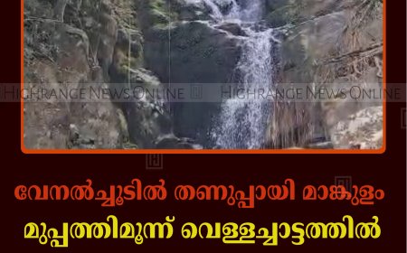 വേനല്‍ച്ചൂടില്‍ തണുപ്പായി മാങ്കുളം: മുപ്പത്തിമൂന്ന് വെള്ളച്ചാട്ടത്തില്‍ സഞ്ചാരികളുടെ തിരക്കേറുന്നു