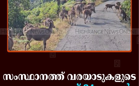 സംസ്ഥാനത്ത് വരയാടുകളുടെ കണക്കെടുപ്പ് 24 മുതല്‍