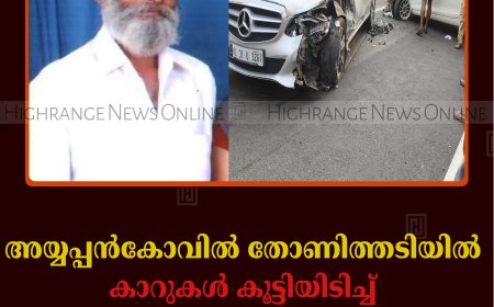 അയ്യപ്പൻകോവിൽ തോണിത്തടിയിൽ കാറുകൾ കൂട്ടിയിടിച്ച് ഗൃഹനാഥൻ മരിച്ചു