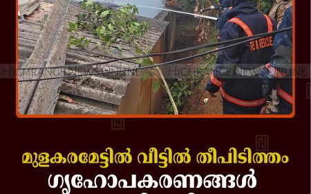 മുളകരമേട്ടില്‍ വീട്ടില്‍ തീപിടിത്തം:  ഗൃഹോപകരണങ്ങള്‍ കത്തിനശിച്ചു