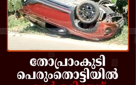 തോപ്രാംകുടി പെരുംതൊട്ടിയില്‍ കാര്‍ മറിഞ്ഞ് ദമ്പതികള്‍ക്ക് പരിക്ക്