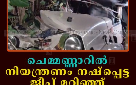 ചെമ്മണ്ണാറില്‍ നിയന്ത്രണം നഷ്‌പ്പെട്ട ജീപ്പ് മറിഞ്ഞ് യുവാവ് മരിച്ചു 