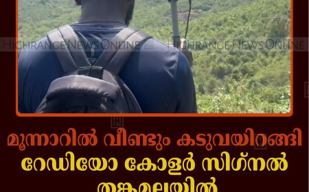 മൂന്നാറില്‍ വീണ്ടും കടുവയിറങ്ങി: റേഡിയോ കോളര്‍ സിഗ്നല്‍ തങ്കമലയില്‍