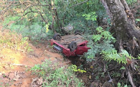 ചെറുതോണിയിൽ കാർ താഴ്ചയിലേക്ക് മറിഞ്ഞ് ദമ്പതികൾക്ക് പരിക്ക് 