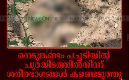 നെടുങ്കണ്ടം പച്ചടിയില്‍ പുരയിടത്തില്‍നിന്ന് ശരീരഭാഗങ്ങള്‍ കണ്ടെടുത്തു: ഇരട്ടക്കൊലപാതകമെന്ന് സംശയം