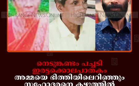 നെടുങ്കണ്ടം പച്ചടി ഇരട്ടക്കൊലപാതകം: അമ്മയെ ഭിത്തിയിലെറിഞ്ഞും സഹോദരനെ കഴുത്തില്‍ തോര്‍ത്ത് മുറുക്കിയും കൊലപ്പെടുത്തിയതായി പ്രതി സജി
