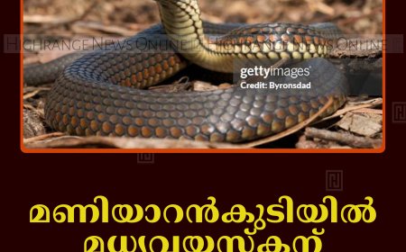 മണിയാറന്‍കുടിയില്‍ മധ്യവയസ്‌കന് പാമ്പ് കടിയേറ്റു