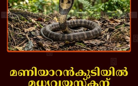 മണിയാറന്‍കുടിയില്‍ മധ്യവയസ്‌കന് പാമ്പ് കടിയേറ്റു