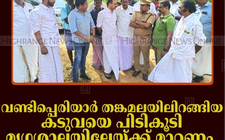 വണ്ടിപ്പെരിയാര്‍ തങ്കമലയിലിറങ്ങിയ കടുവയെ പിടികൂടി മൃഗശാലയിലേയ്ക്ക് മാറ്റണം: ഡീന്‍ കുര്യാക്കോസ് എംപി     