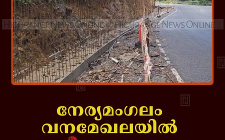 നേര്യമംഗലം വനമേഖലയില്‍ ദേശീയപാതയുടെ നവീകരണം വൈകുന്നു