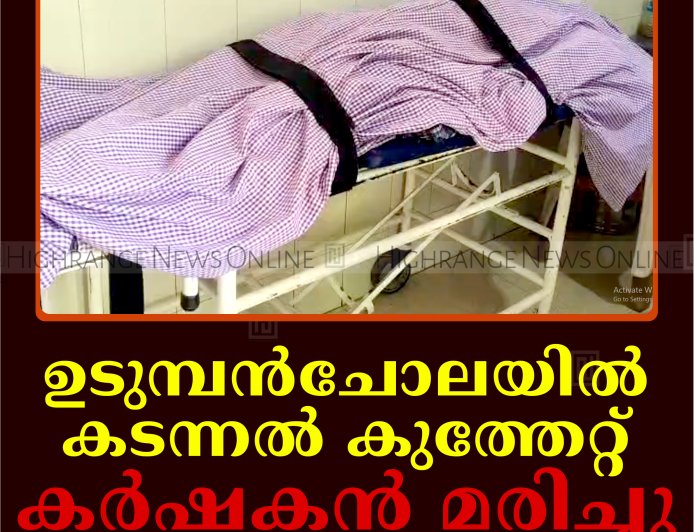 ഉടുമ്പന്‍ചോലയില്‍ കടന്നല്‍ കുത്തേറ്റ് കര്‍ഷകന്‍ മരിച്ചു