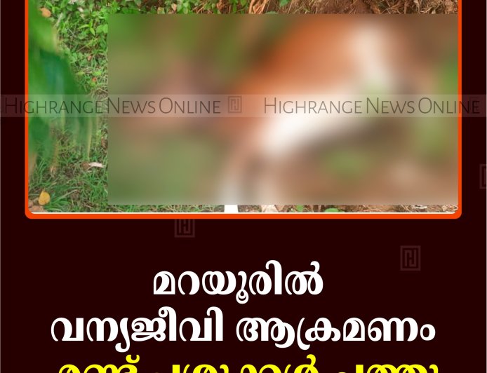 മറയൂരില്‍ വന്യജീവി ആക്രമണം:  രണ്ട് പശുക്കള്‍ ചത്തു 