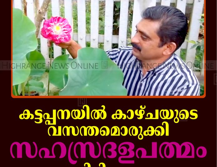 കട്ടപ്പനയില്‍ കാഴ്ചയുടെ വസന്തമൊരുക്കി സഹസ്രദളപത്മം വിരിഞ്ഞു