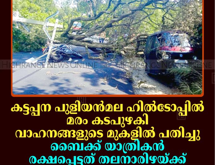കട്ടപ്പന പുളിയന്‍മല ഹില്‍ടോപ്പില്‍ മരം കടപുഴകി വാഹനങ്ങളുടെ മുകളില്‍ പതിച്ചു: ബൈക്ക് യാത്രികന്‍ രക്ഷപ്പെട്ടത് തലനാരിഴയ്ക്ക്: ഒരു മണിക്കൂര്‍ ഗതാഗത തടസം