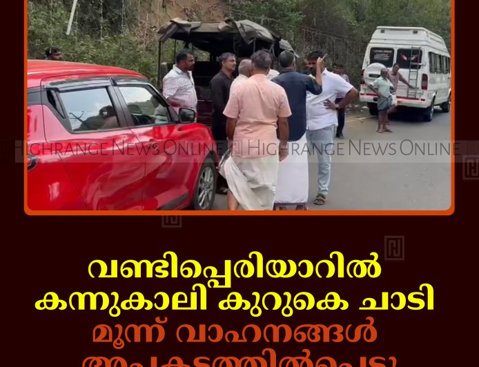 വണ്ടിപ്പെരിയാറില്‍ കന്നുകാലി കുറുകെ ചാടി മൂന്ന് വാഹനങ്ങള്‍ അപകടത്തില്‍പ്പെട്ടു