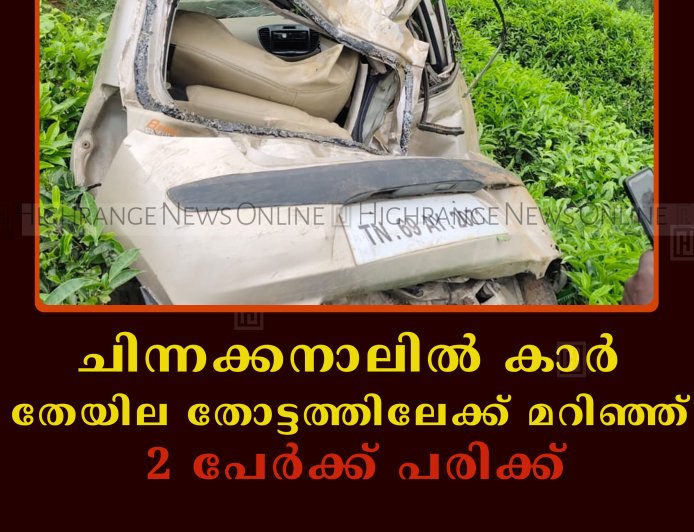 ചിന്നക്കനാലിൽ കാർ തേയില തോട്ടത്തിലേക്ക് മറിഞ്ഞ് 2 പേർക്ക് പരിക്ക്