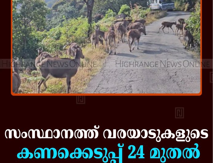 സംസ്ഥാനത്ത് വരയാടുകളുടെ കണക്കെടുപ്പ് 24 മുതല്‍