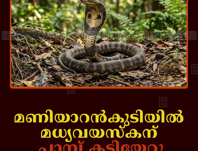 മണിയാറന്‍കുടിയില്‍ മധ്യവയസ്‌കന് പാമ്പ് കടിയേറ്റു