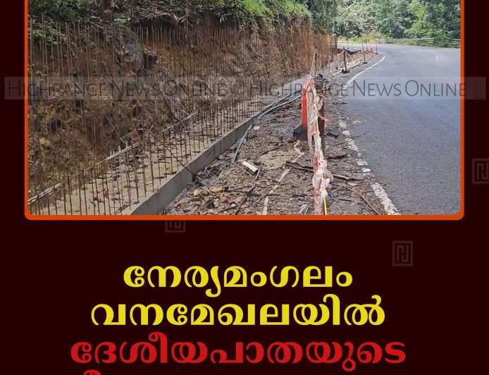 നേര്യമംഗലം വനമേഖലയില്‍ ദേശീയപാതയുടെ നവീകരണം വൈകുന്നു