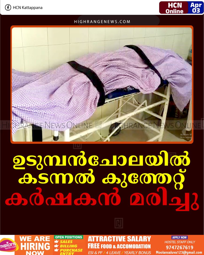 ഉടുമ്പന്‍ചോലയില്‍ കടന്നല്‍ കുത്തേറ്റ് കര്‍ഷകന്‍ മരിച്ചു