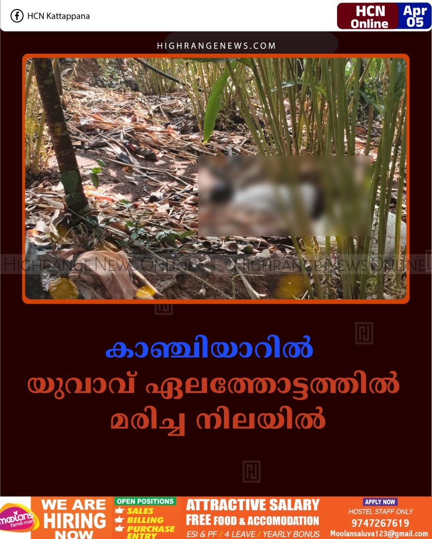 കാഞ്ചിയാറില്‍ യുവാവ് ഏലത്തോട്ടത്തില്‍ മരിച്ച നിലയില്‍