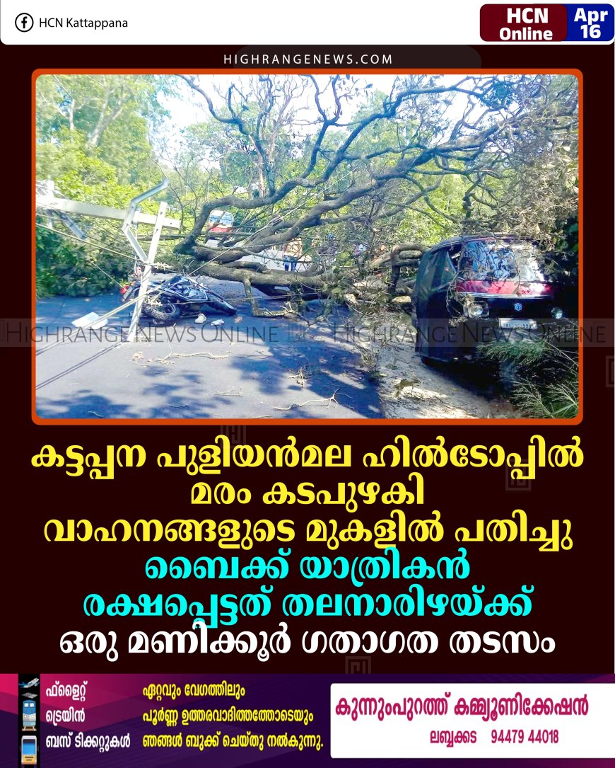 കട്ടപ്പന പുളിയന്‍മല ഹില്‍ടോപ്പില്‍ മരം കടപുഴകി വാഹനങ്ങളുടെ മുകളില്‍ പതിച്ചു: ബൈക്ക് യാത്രികന്‍ രക്ഷപ്പെട്ടത് തലനാരിഴയ്ക്ക്: ഒരു മണിക്കൂര്‍ ഗതാഗത തടസം