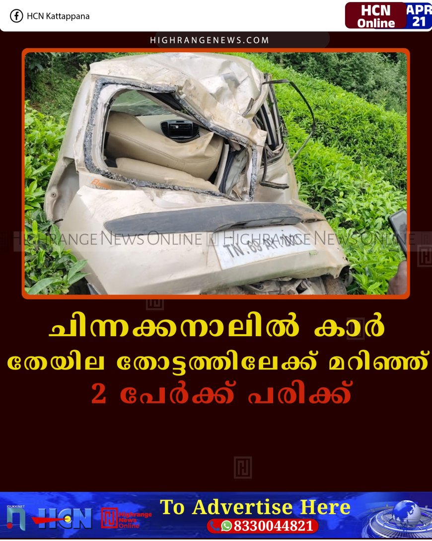 ചിന്നക്കനാലിൽ കാർ തേയില തോട്ടത്തിലേക്ക് മറിഞ്ഞ് 2 പേർക്ക് പരിക്ക്