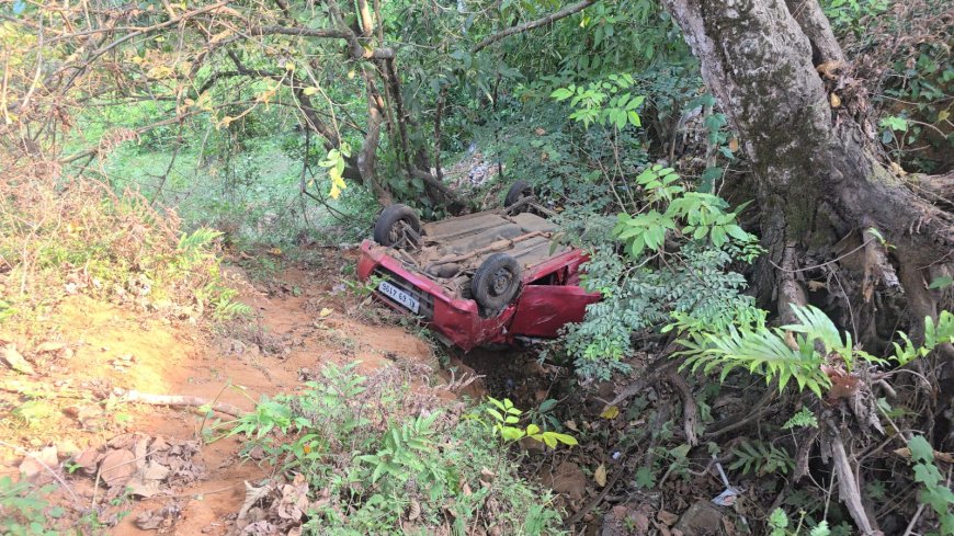 ചെറുതോണിയിൽ കാർ താഴ്ചയിലേക്ക് മറിഞ്ഞ് ദമ്പതികൾക്ക് പരിക്ക് 
