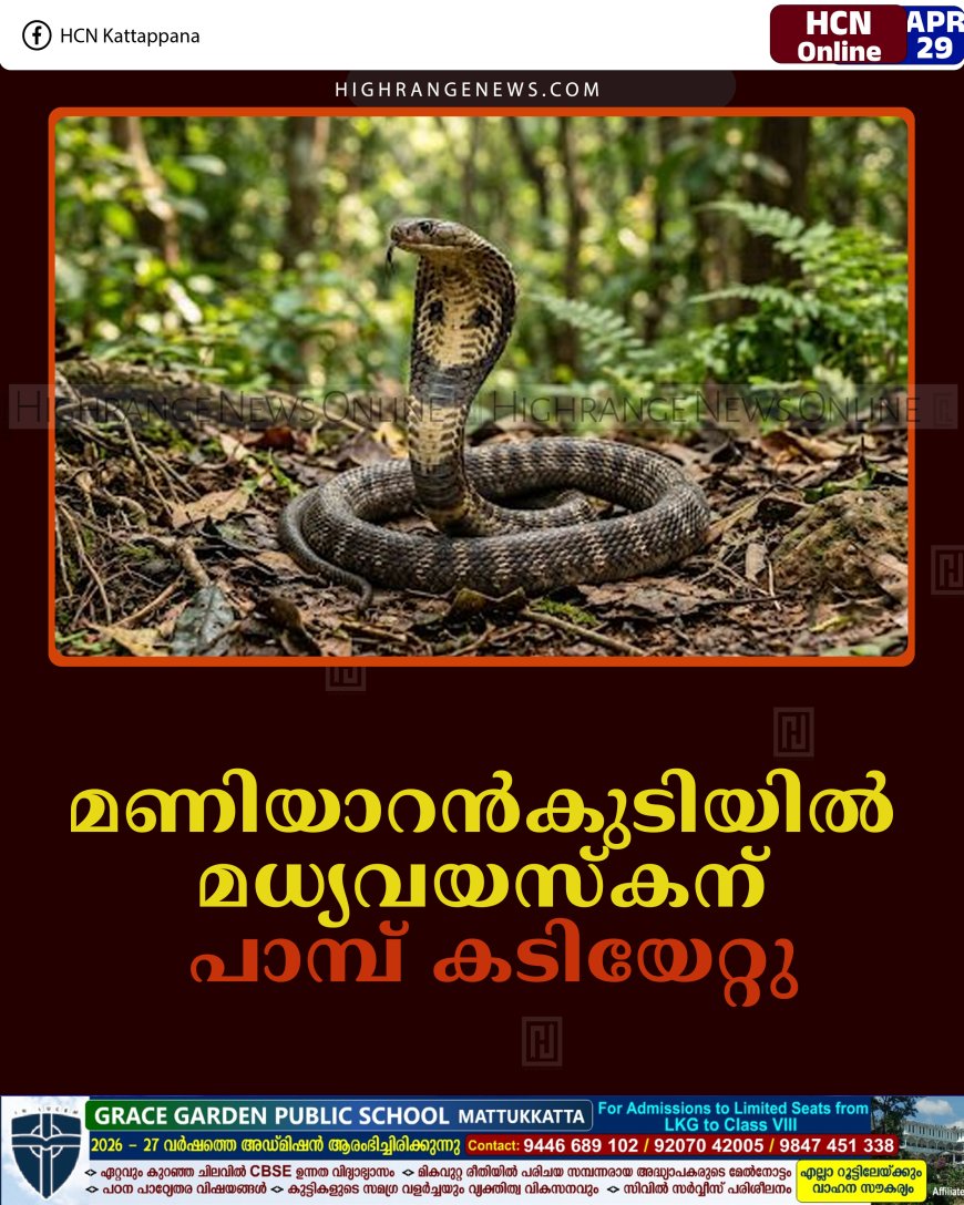 മണിയാറന്‍കുടിയില്‍ മധ്യവയസ്‌കന് പാമ്പ് കടിയേറ്റു