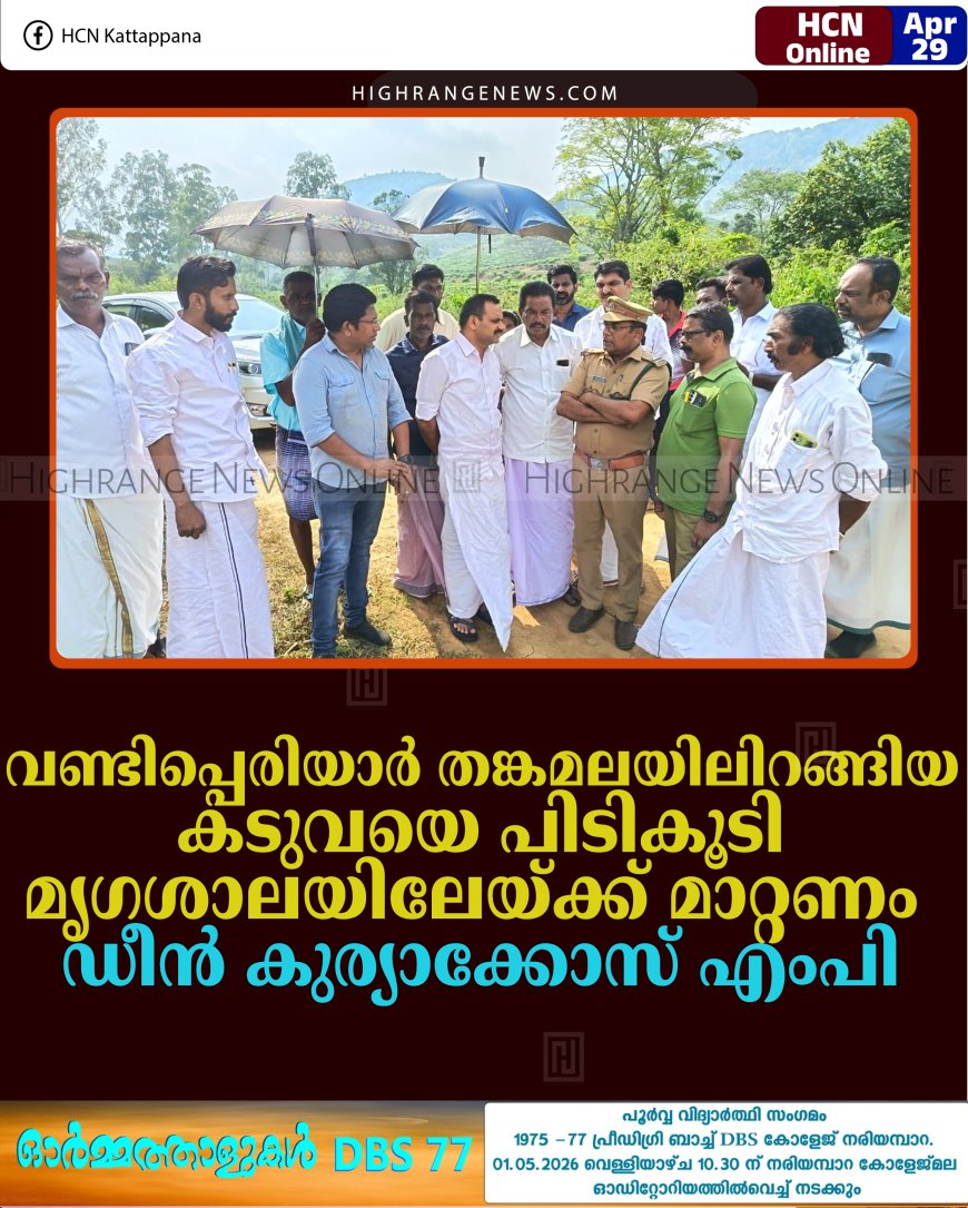 വണ്ടിപ്പെരിയാര്‍ തങ്കമലയിലിറങ്ങിയ കടുവയെ പിടികൂടി മൃഗശാലയിലേയ്ക്ക് മാറ്റണം: ഡീന്‍ കുര്യാക്കോസ് എംപി     