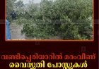 വണ്ടിപ്പെരിയാറില്‍ മരംവീണ് വൈദ്യുതി പോസ്റ്റുകള്‍ നിലംപൊത്തി