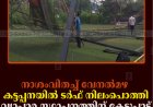 നാശംവിതച്ച് വേനല്‍മഴ: കട്ടപ്പനയില്‍ ടര്‍ഫ് നിലംപൊത്തി: വ്യാപാര സ്ഥാപനത്തിന് കേടുപാട്
