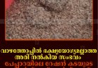 വാഴത്തോപ്പില്‍ ഭക്ഷ്യയോഗ്യമല്ലാത്ത അരി നല്‍കിയ സംഭവം: പേപ്പാറയിലെ റേഷന്‍ കടയുടെ ലൈസന്‍സ് സസ്‌പെന്‍ഡ് ചെയ്തു 