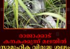 രാജാക്കാട് കനകക്കുന്ന് മലയില്‍ സാമൂഹിക വിരുദ്ധ ശല്യം രൂക്ഷം    