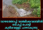 വാഴത്തോപ്പ് വഞ്ചിക്കവലയില്‍ പൈപ്പ് പൊട്ടി കുടിവെള്ളം പാഴാകുന്നു: അന്വേഷണം വേണമെന്ന് നാട്ടുകാര്‍