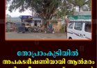 തോപ്രാംകുടിയില്‍ അപകടഭീഷണിയായി ആല്‍മരം: മുറിച്ചുനീക്കണമെന്ന് നാട്ടുകാര്‍