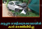 കട്ടപ്പന വെട്ടിക്കുഴക്കവലയില്‍ കാര്‍ മരത്തിലിടിച്ചു  
