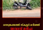 നെടുങ്കണ്ടത്ത് സ്‌കൂട്ടര്‍ മറിഞ്ഞ് യുവാവ് മരിച്ചു