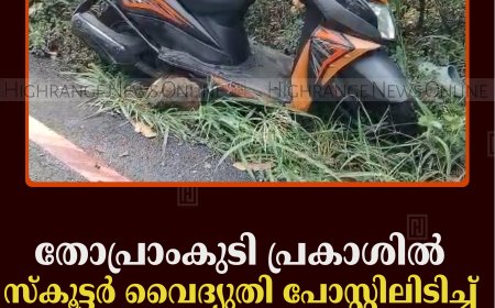 തോപ്രാംകുടി പ്രകാശില്‍ സ്‌കൂട്ടര്‍ വൈദ്യുതി പോസ്റ്റിലിടിച്ച് യുവാവിന് പരിക്ക് 