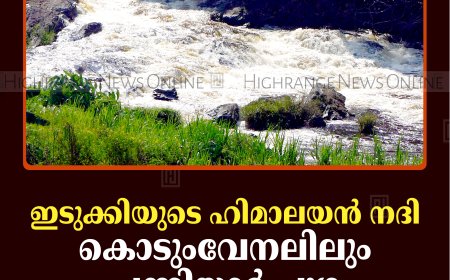 ഇടുക്കിയുടെ ഹിമാലയന്‍ നദി: കൊടുംവേനലിലും പന്നിയാര്‍ പുഴ നിറഞ്ഞൊഴുകുന്നു