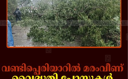 വണ്ടിപ്പെരിയാറില്‍ മരംവീണ് വൈദ്യുതി പോസ്റ്റുകള്‍ നിലംപൊത്തി