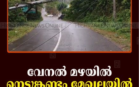 വേനല്‍മഴയില്‍ നെടുങ്കണ്ടം മേഖലയില്‍ വ്യാപക നാശനഷ്ടം