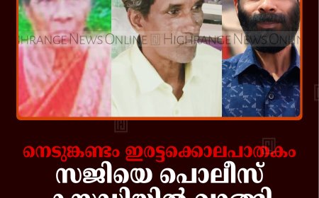 നെടുങ്കണ്ടം ഇരട്ടക്കൊലപാതകം: സജിയെ പൊലീസ് കസ്റ്റഡിയില്‍ വാങ്ങി: പ്രതിക്കെതിരെ ലൈംഗികാതിക്രമ പരാതിയും