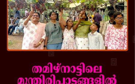 തമിഴ്‌നാട്ടിലെ മുന്തിരിപ്പാടങ്ങളില്‍ മലയാളികളുടെ തിരക്ക്